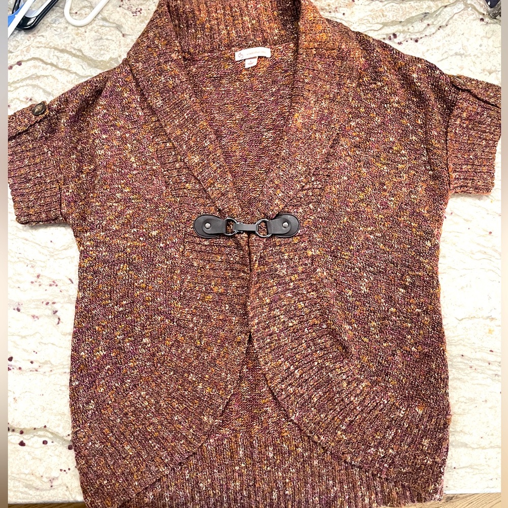 Short sleeve sweater from DressBarn. Perfect for fall!